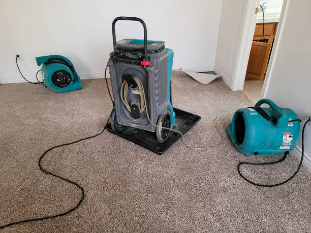 Best Water damage restoration cost  in Memphis, FL