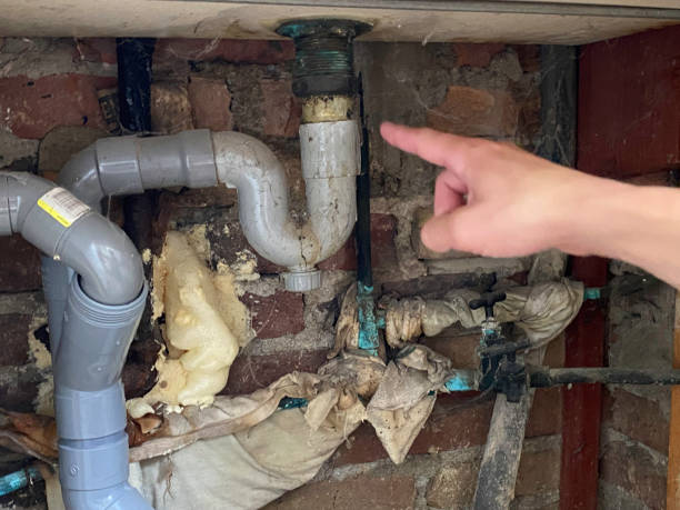 Best Water damage contractors near me  in Memphis, FL