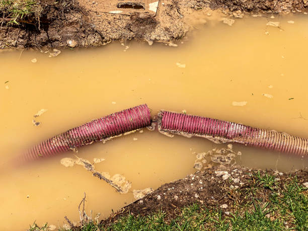 Best 24/7 water damage repair  in Memphis, FL
