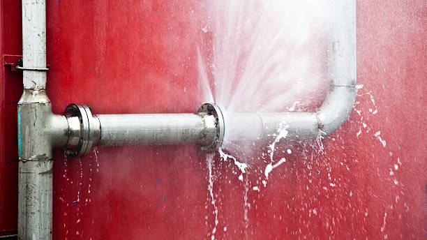 Best 24-hour water damage restoration  in Memphis, FL