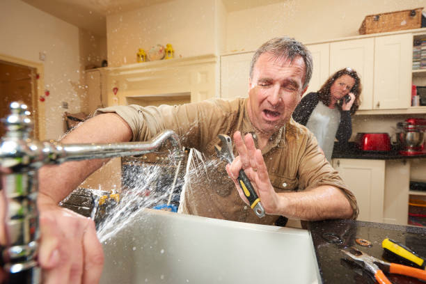 Best Carpet water damage restoration  in Memphis, FL